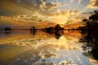 Bald cypress trees silhouetted at sunset, Caddo Lake, Texas. Worlds largest bald cypress forest. Art Print